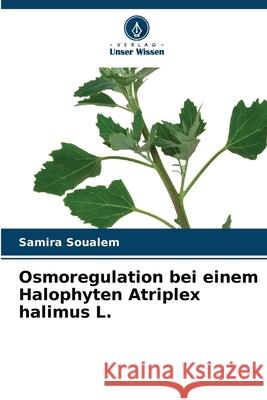 Osmoregulation bei einem Halophyten Atriplex halimus L. Samira Soualem 9786207525539 Verlag Unser Wissen - książka