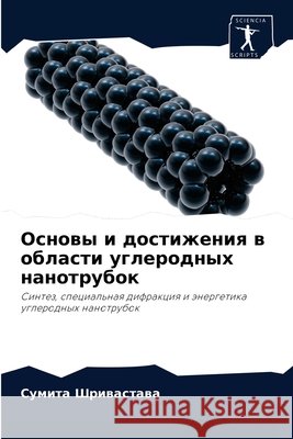 Основы и достижения в обл Шриваl 9786204059716 Sciencia Scripts - książka