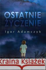 Ostatnie życzenie Igor Adamczyk 9788396927750 Wydawnictwo Nocą - książka