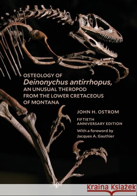 Osteology of Deinonychus Antirrhopus, an Unusual Theropod from the Lower Cretaceous of Montana: 50th Anniversary Edition Ostrom, John H. 9781933789392 Yale Peabody Museum - książka