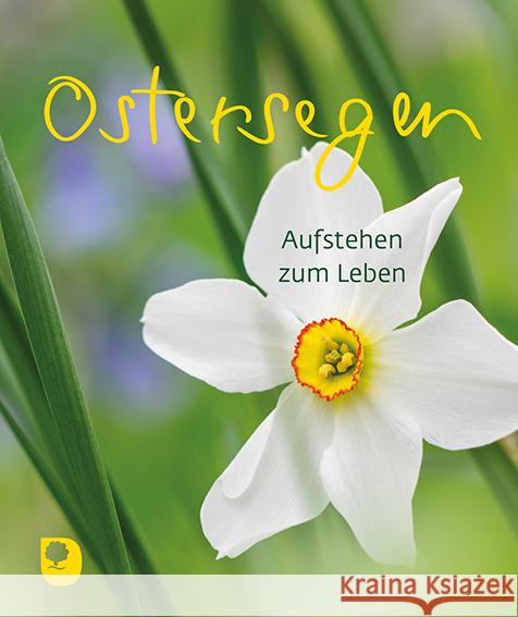 Ostersegen  9783987000911 Eschbach - książka