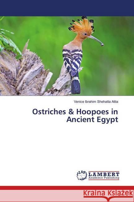 Ostriches & Hoopoes in Ancient Egypt Shehatta Attia, Venice Ibrahim 9786139907014 LAP Lambert Academic Publishing - książka