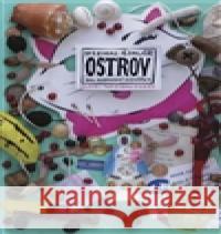 Ostrov Michal Cihlář 9788087545461 Archa - książka