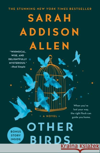 Other Birds: A Novel Sarah Addison Allen 9781250019875 St. Martin's Publishing Group - książka