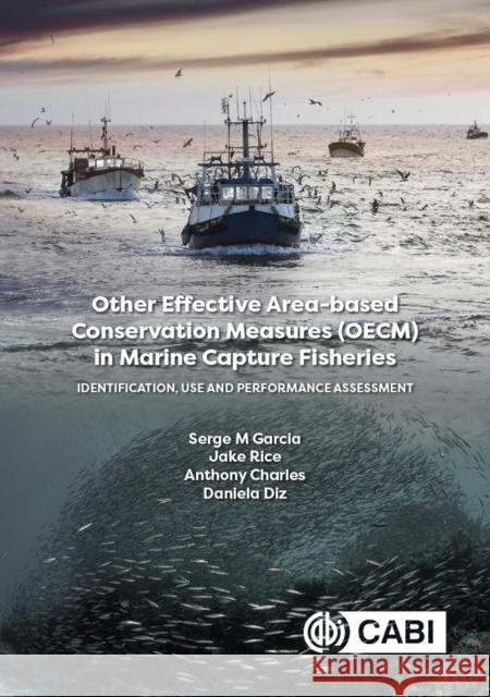 Other Effective Area-based Conservation Measures (OECM) in Marine Capture Fisheries Dr Daniela (Associate Professor) Diz 9781836990864 CABI Publishing - książka