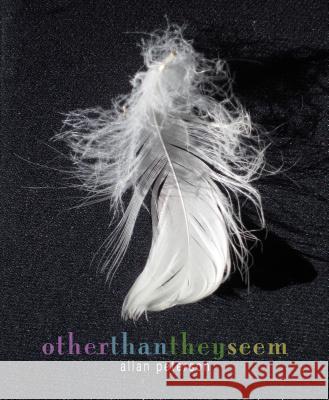 Other Than They Seem: Poems Allan Peterson 9781936797844 Tupelo Press - książka