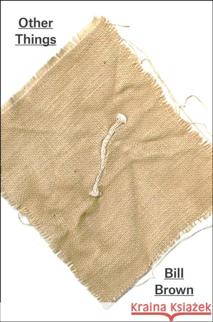 Other Things Bill Brown 9780226283029 University of Chicago Press - książka