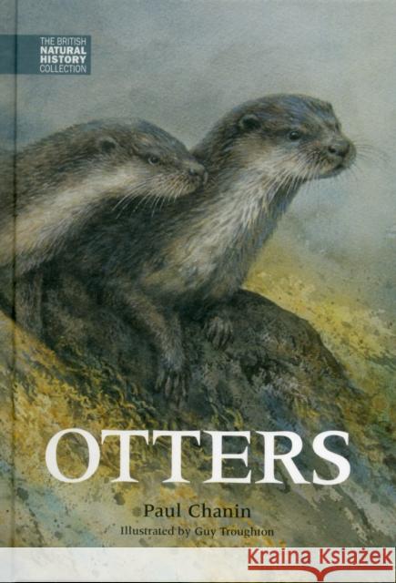 Otters Paul Chanin 9781873580844 Whittet Books Ltd - książka