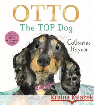 Otto The Top Dog Catherine Rayner 9781035022045 Pan Macmillan - książka