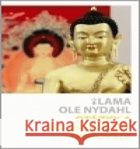 Otázky a buddhistické odpovědi Ole Nydahl 9788090382145 Společnost diamantové cesty - książka