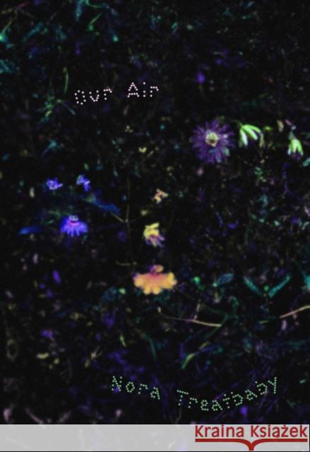 Our Air Nora Treatbaby 9781643621968 Nightboat Books - książka