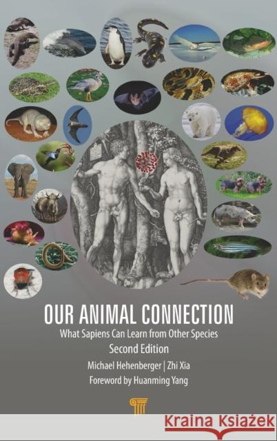 Our Animal Connection: What Sapiens Can Learn from Other Species Michael Hehenberger Zhi Xia Huanming (Henry) Yang 9789814877503 Jenny Stanford Publishing - książka