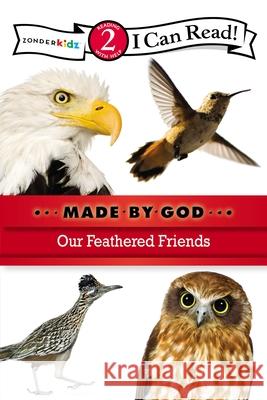 Our Feathered Friends: Level 2 Zondervan 9780310721840 Zonderkidz - książka