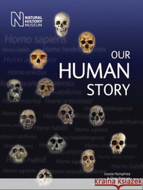 Our Human Story Louise Humphrey Chris Stringer 9780565093914 The Natural History Museum - książka