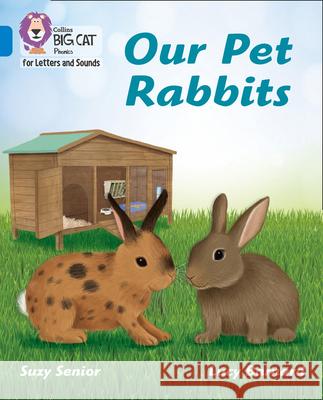 Our Pet Rabbits: Band 04/Blue Suzy Senior 9780008442293 HarperCollins Publishers - książka