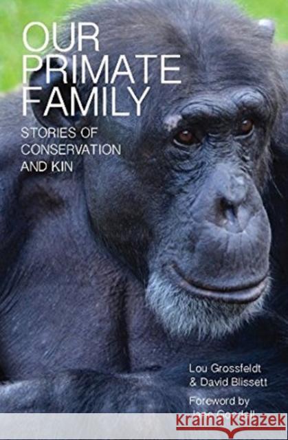 Our Primate Family: Stories of Conservation and Kin Lou Grossfeldt 9781922129765 Melbourne Books - książka