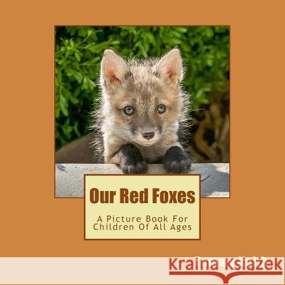 Our Red Foxes: A Picture Book For Children Of All Ages Keith, Tommy 9781539145691 Createspace Independent Publishing Platform - książka