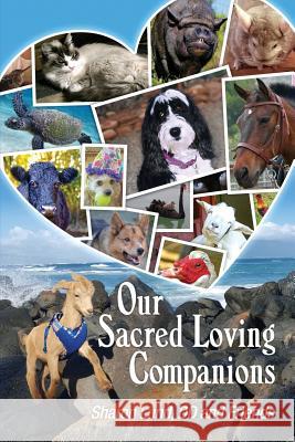 Our Sacred Loving Companions DD Sharon Lund And Friends 9780982233191 Sacred Life Publishers - książka