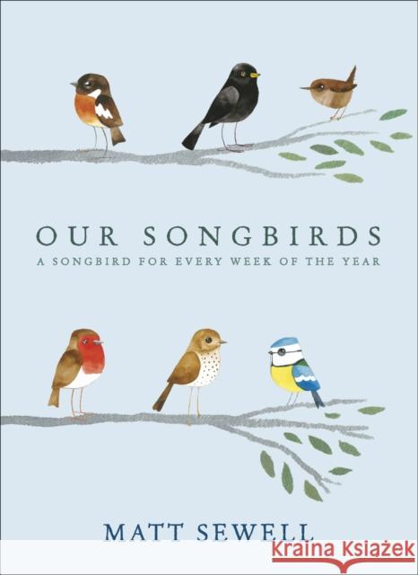 Our Songbirds: A songbird for every week of the year Matt Sewell 9780091951603 Ebury Publishing - książka