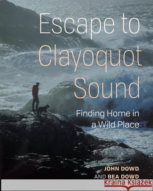 Our Stolen Years in Clayoquot Sound: Finding Home in a Wild Place Bea Dowd 9781772034714 Heritage House - książka