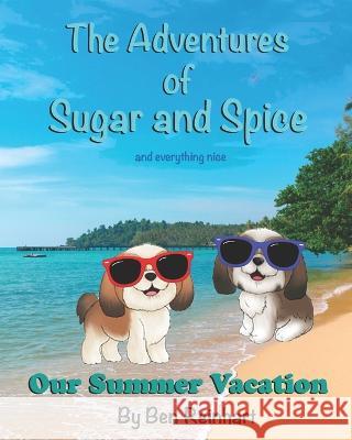 Our Summer Vacation Ben Reinhart 9798833559505 Independently Published - książka