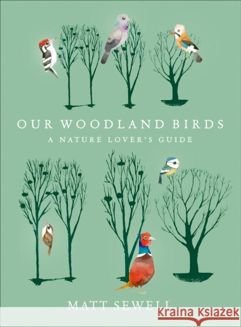 Our Woodland Birds Matt Sewell 9780091957902 Ebury Publishing - książka