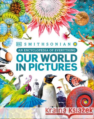 Our World in Pictures: An Encyclopedia of Everything DK 9780744060157 DK Publishing (Dorling Kindersley) - książka