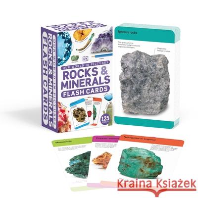 OUR WORLD IN PICTURES ROCKS MINERALS FLA  9780241573938 DK - książka