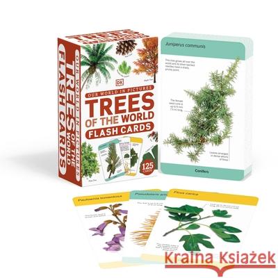OUR WORLD IN PICTURES TREES FLASH CARDS  9780241536322 DK - książka