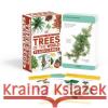 OUR WORLD IN PICTURES TREES FLASH CARDS  9780241536322 DK