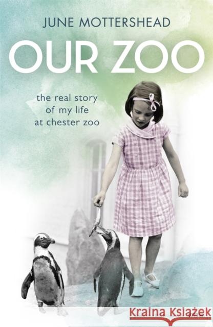 Our Zoo June Mottershead 9781472226365 Headline Publishing Group - książka