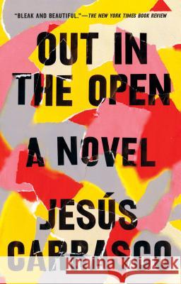 Out in the Open Jesus Carrasco 9781594634376 Riverhead Books - książka