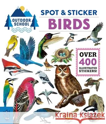 Outdoor School: Spot & Sticker Birds Odd Dot 9781250754646 Odd Dot - książka