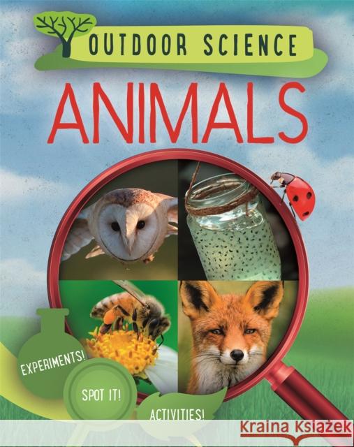 Outdoor Science: Animals Sonya Newland 9781526309419 Hachette Children's Group - książka