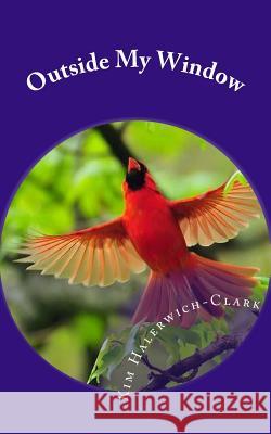 Outside My Window: Finding true meaning in your life Halerwich-Clark, Kim 9781517756246 Createspace Independent Publishing Platform - książka