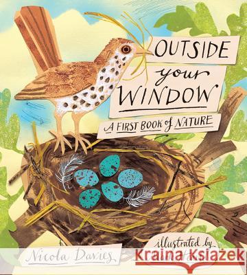 Outside Your Window: A First Book of Nature Nicola Davies Mark Hearld  9780763655495 Candlewick Press (MA) - książka