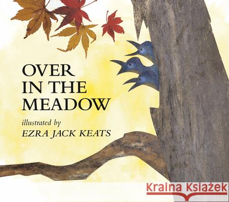 Over in the Meadow Ezra Jack Keats 9780140565089 Puffin Books - książka