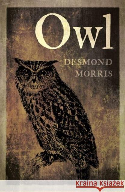 Owl Desmond Morris 9781780239163 Reaktion Books - książka