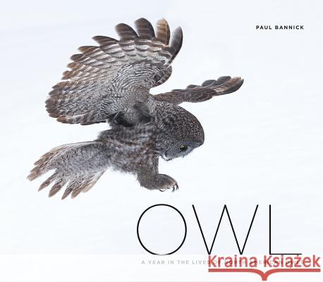 Owl: A Year in the Lives of North American Owls Paul Bannick Paul Bannick 9781594858000 Mountaineers Books - książka