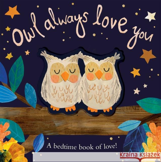 Owl Always Love You: A bedtime book of love! Patricia Hegarty 9781848579798 Little Tiger Press Group - książka