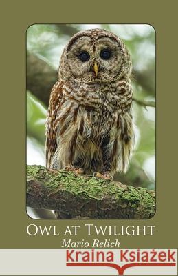Owl at Twilight Mario Relich 9781849212243 Zeticula Ltd - książka