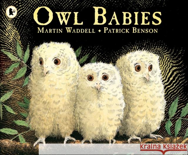 Owl Babies Martin Waddell 9780744531671 Walker Books Ltd - książka