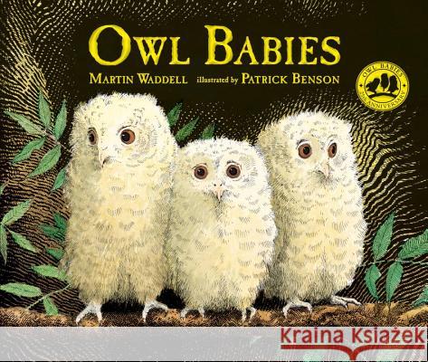 Owl Babies Martin Waddell Patrick Benson 9780763695194 Candlewick Press (MA) - książka