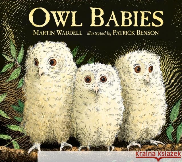Owl Babies: Over two million copies sold - a heartwarming bedtime picture book story that comforts and reassures - also the perfect gift for birthdays, new parents and baby showers Waddell, Martin 9781406374377 Walker Books Ltd - książka
