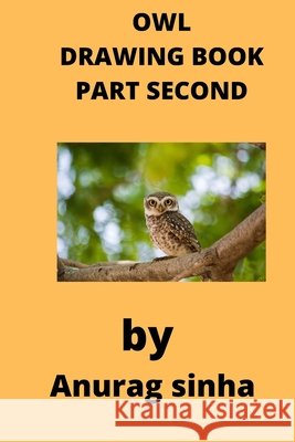 Owl Drawing Book Anurag, Kumar 9798418600660 Independently published - książka