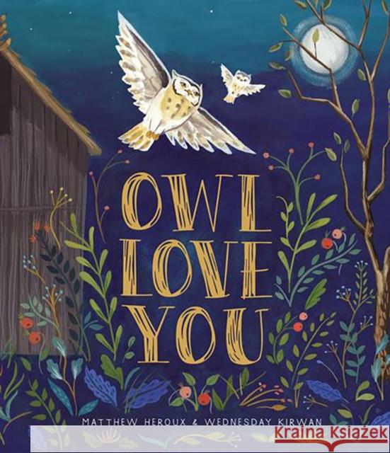 Owl Love You Matthew Heroux, Wednesday Kirwan 9781944903350 Cameron & Company Inc - książka