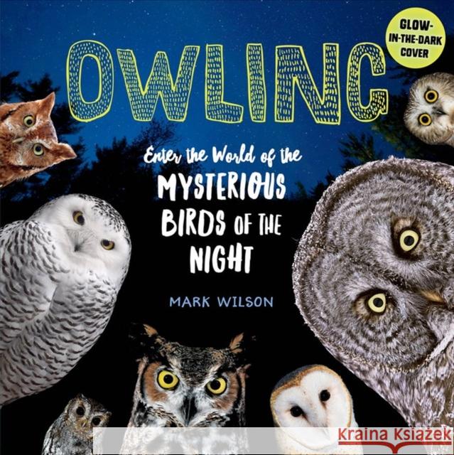 Owling: Enter the World of the Mysterious Birds of the Night Mark Wilson 9781612129624 Storey Publishing - książka