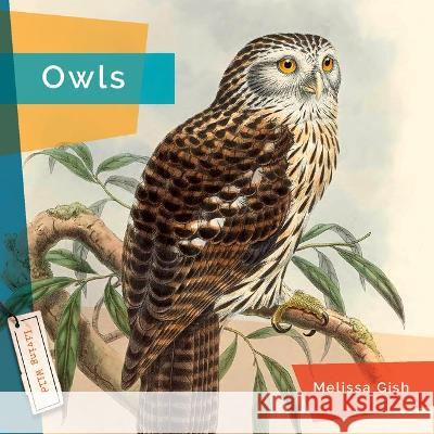 Owls Melissa Gish 9781682771617 Creative Paperbacks - książka