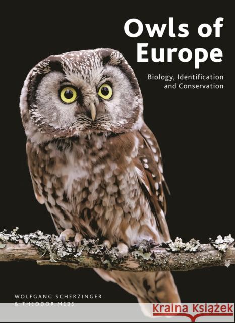 Owls of Europe: Biology, Identification and Conservation Theodor Mebs 9781399410793 Bloomsbury Publishing PLC - książka