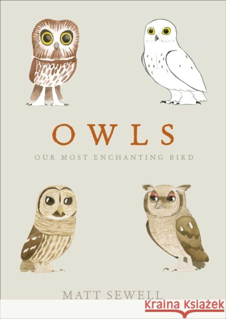 Owls: Our Most Enchanting Bird Matt Sewell 9780091959999 Ebury Publishing - książka